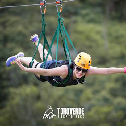 Toro Verde zipline