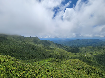 El Yunque rainforest